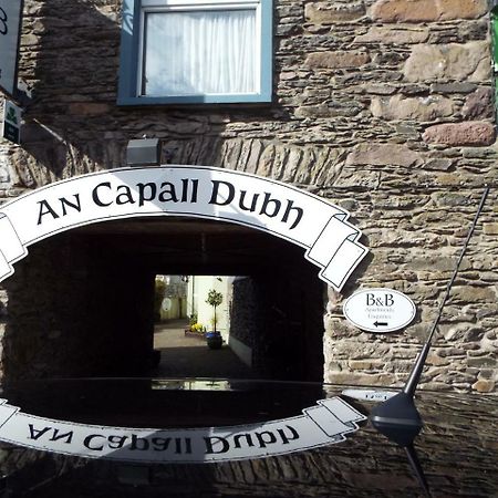 Dingle Centre Townhouse An Capall Dubh Ντίνγκλε Εξωτερικό φωτογραφία