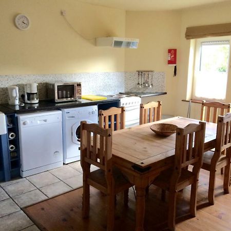 Dingle Centre Townhouse An Capall Dubh Ντίνγκλε Εξωτερικό φωτογραφία