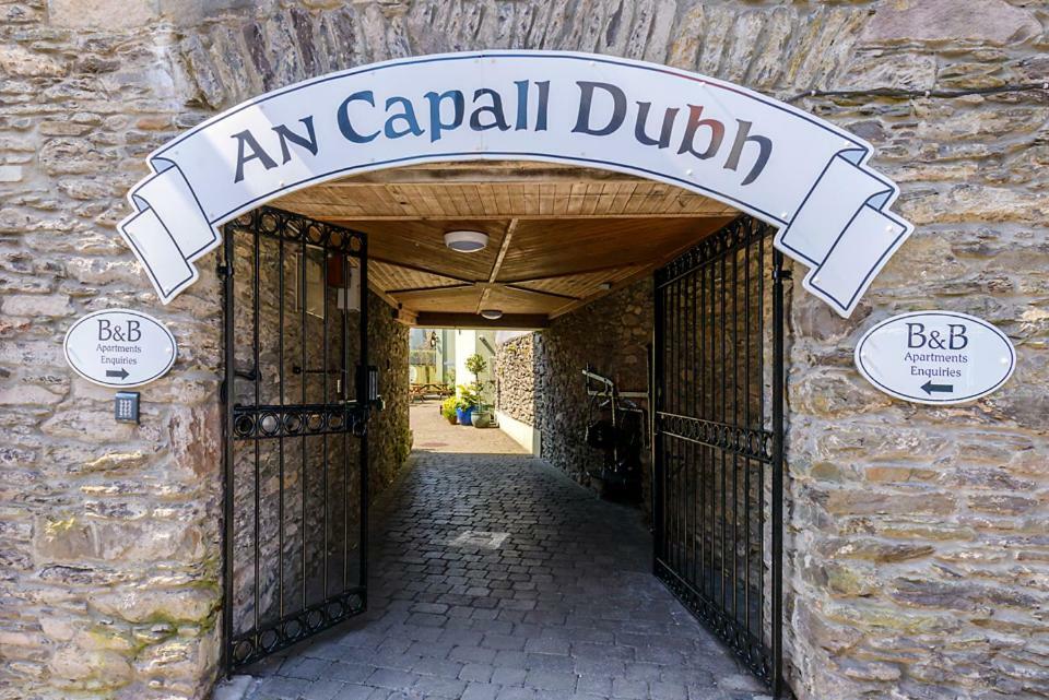 Dingle Centre Townhouse An Capall Dubh Ντίνγκλε Εξωτερικό φωτογραφία