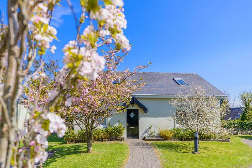 Dingle Centre Townhouse An Capall Dubh Ντίνγκλε Εξωτερικό φωτογραφία